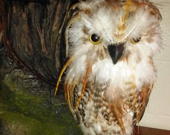 faux taxidermy owl