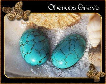2 turquoise magnesite cabochons 13x18mm