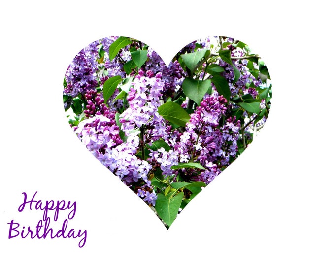 GREETING CARDS GIFT Set: 20-pieces created for you by Pam Ponsart of Pam's Fab Photos featuring Purple Lilacs and optional gift card