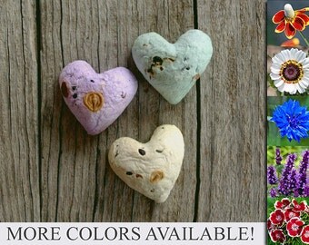 100 XL Wildflower Seed Bombs