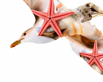 Sea Gull, Seashell Art, Nautical Prints, Beach Print, Sea Shells, Beach Decor, Beach Photography, Flying Birds, Starfish, Bird Print,Seagull