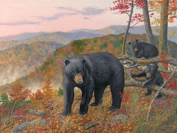 Black Bear Wall Decor Large Wall Art Print Large Bear