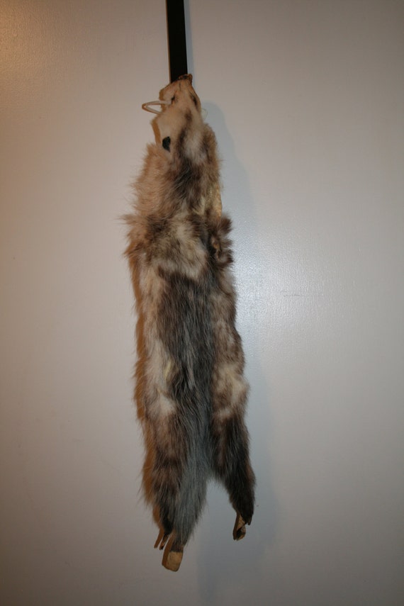 Possum Opossum Pelt Soft Tanned Leather Craft Case by DavisFarms