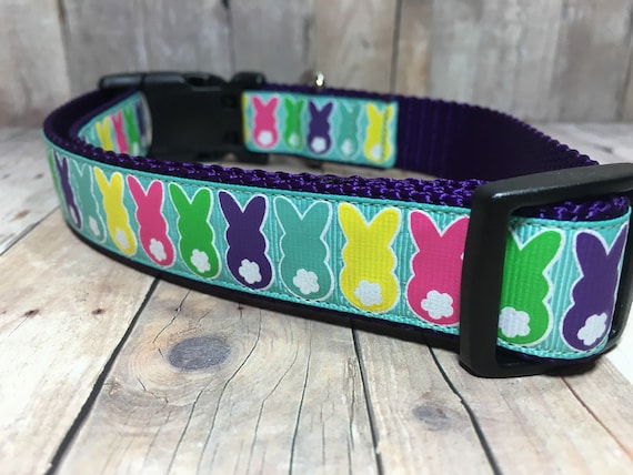 Heart Heavy Black Dog Collar Heart Heavy Black Dog Collar