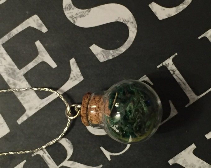 Moss Terrarium Necklace