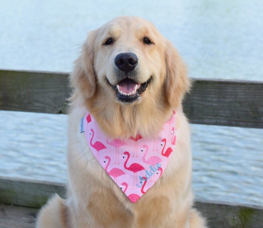 Pink Flamingos Dog Bandana Reversible Classic Tie Pet