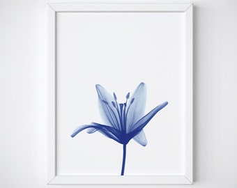 Botanical Print - Flower Print - xray flower - flower photography - blue flower print - blue botanical print - Blue Wall Art - Flower art