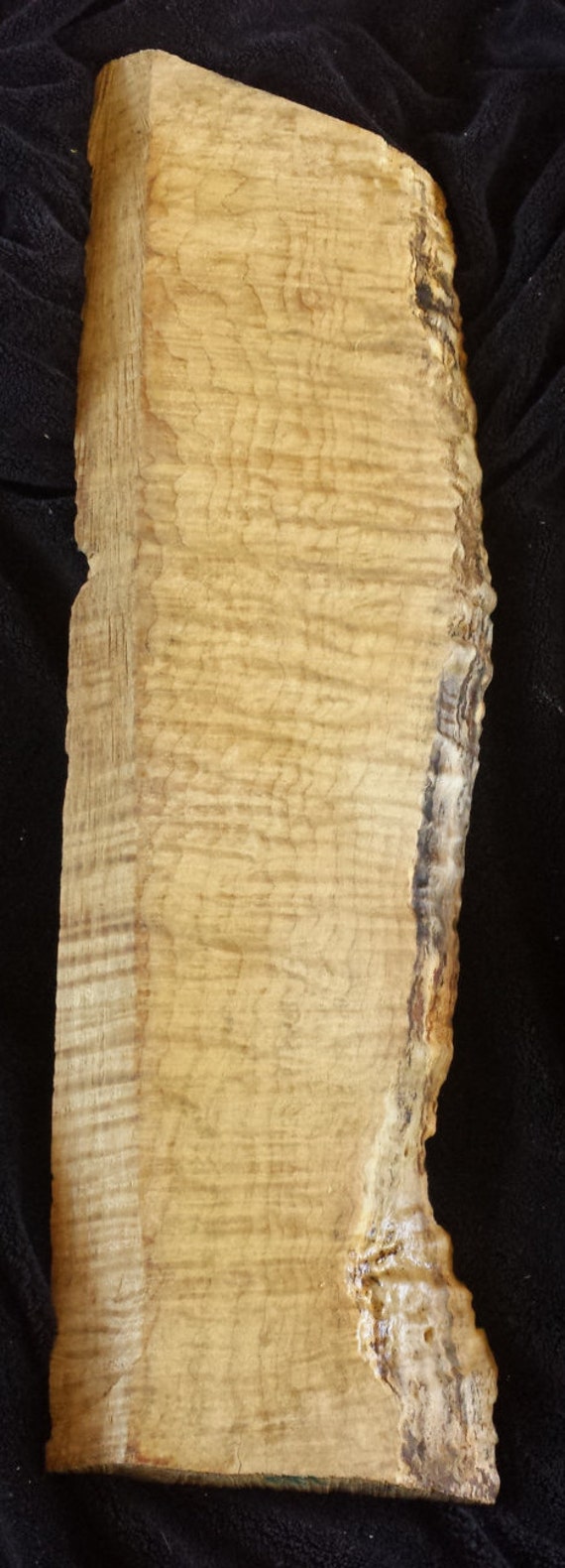 Live Edge Curly Quilted Maple