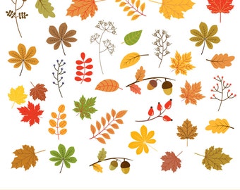 Autumn leaf clip art, Fall leaf clipart, Fall foliage clip art, Autumn leaf clipart, Digital red leaf, Yellow leaf graphic, Leaf image