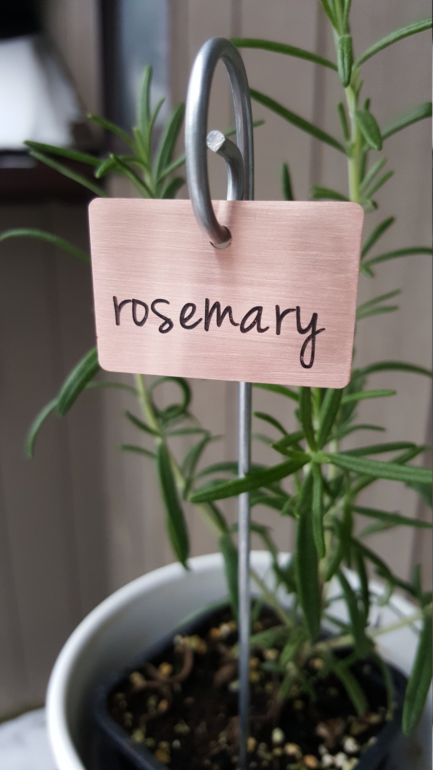 Copper Plant Markers Custom Set of 8 Garden Herb Plant