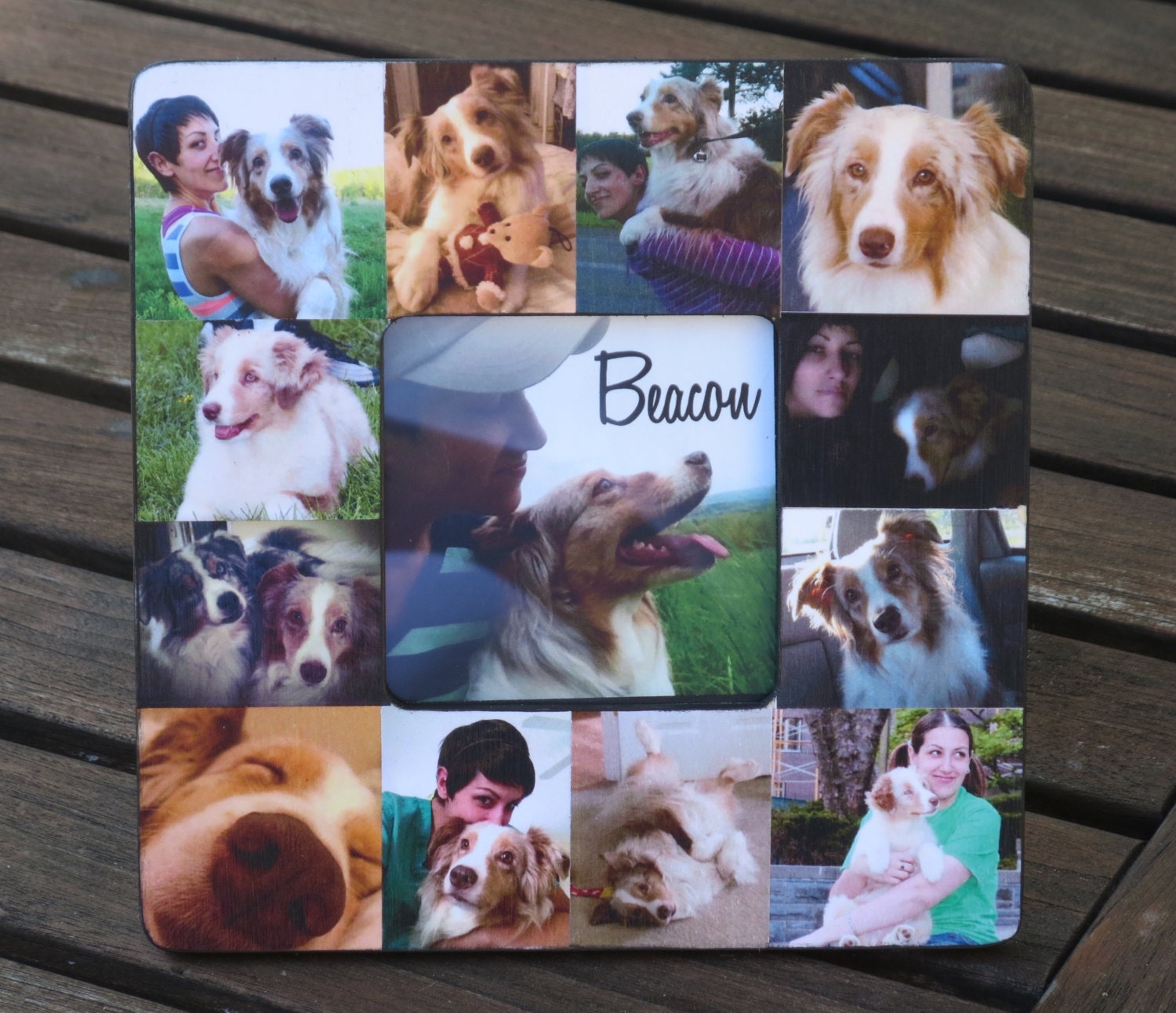 in loving memory picture collage of pets
