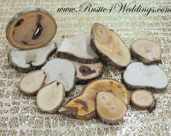 100 hickory rustic wood slices1"-3" for crafts, candles, decoration, blanks, rustic weddings, wood art ,
