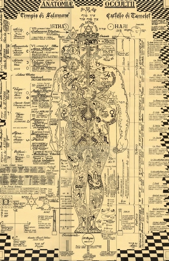 The Occult Anatomy Print Kabbalah Alchemy Tree of Life