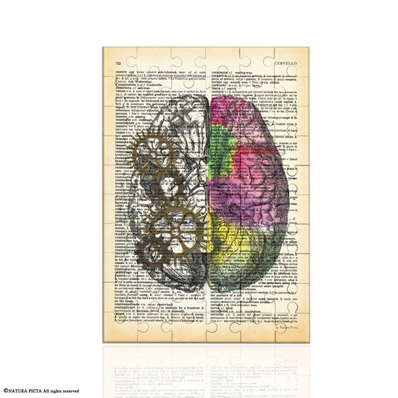 Left right brain Puzzle-anatomy jigsaw puzzle-brain wall