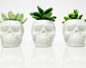 Day of dead Skull Planter , Succulent planter, Cactus planter, Indoor Plant pot, Human Skull Decor, Skull Head Planter, Cactus Planter Gift