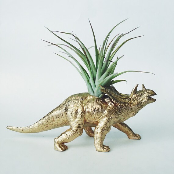 Large Gold Triceratops Dinosaur Planter + Air Plant; Dinosaur Planter;  Dino; Home Decor; Desk Accessory; Office Planter; Gift; Party