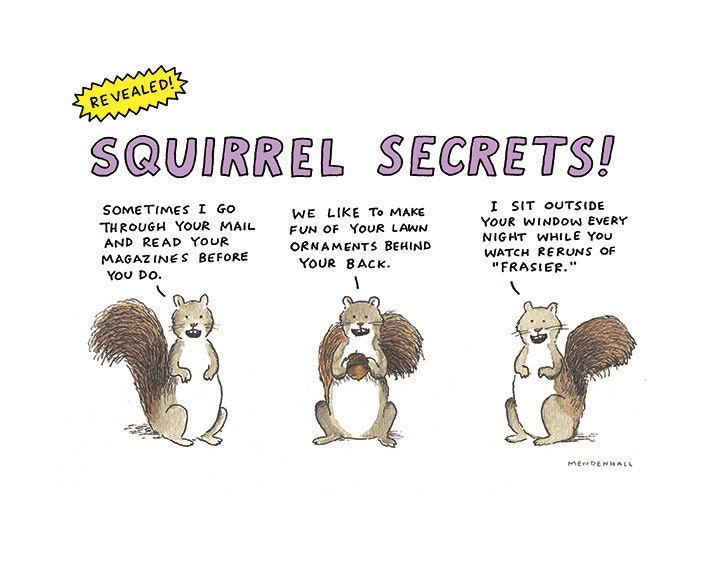 Funny Squirrel print Fun Nature Decor Wildlife Humor Gray