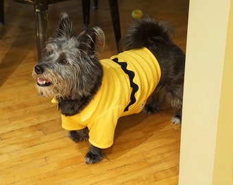 Charlie Brown Dog Costume