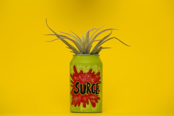 SURGE PLANTER