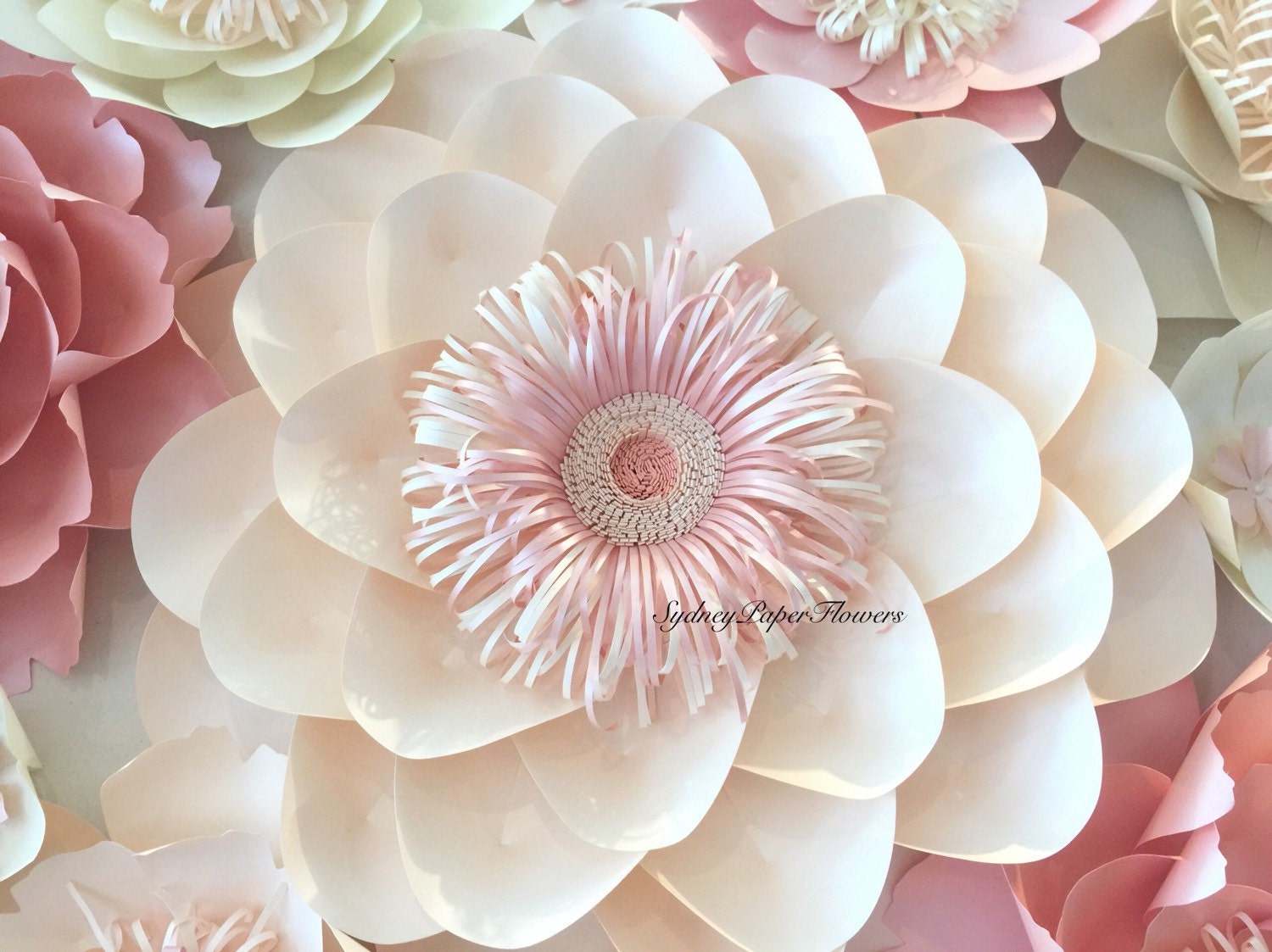 Paper flower wall TO HIRE in Sydney 24 x 25 by SydneyPaperFlowers
