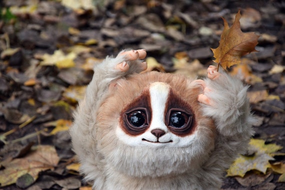 Pygmy Slow Loris