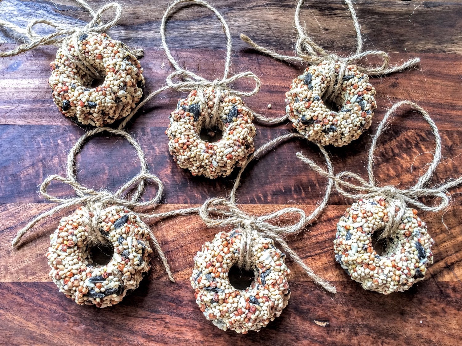 Bird Seed Wreath Gift Box Set of 6 Bird Seed Ornament