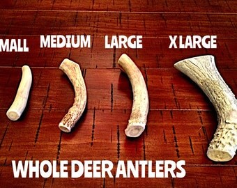 Deer antler dog chews-free shipping!