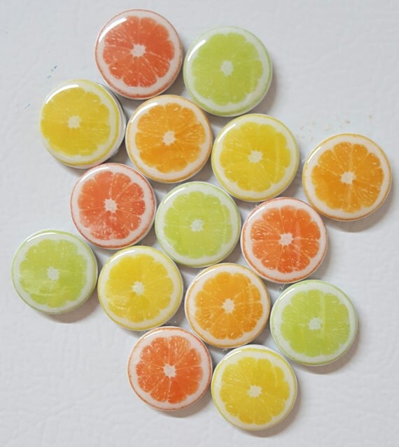 Items similar to Citrus Fruit refrigerator magnes