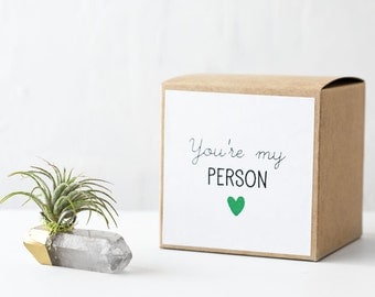 You're My Person, Gift for Best Friend, Friendship Gift, Just Because Gift, BFF, Air Plant on Quartz Crystal, Real Friendship Quotes