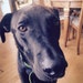 meghannmdowd