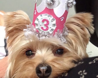 Girl Dog Birthday Crown- Party Hat