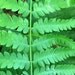 heatherly3