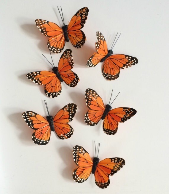 Monarch Butterfly Mobile Nature Art Hanging Art Mobile