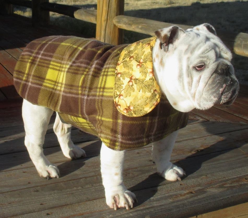 ENGLISH BULLDOG Reversible CoatFleeceFall winter dog coat