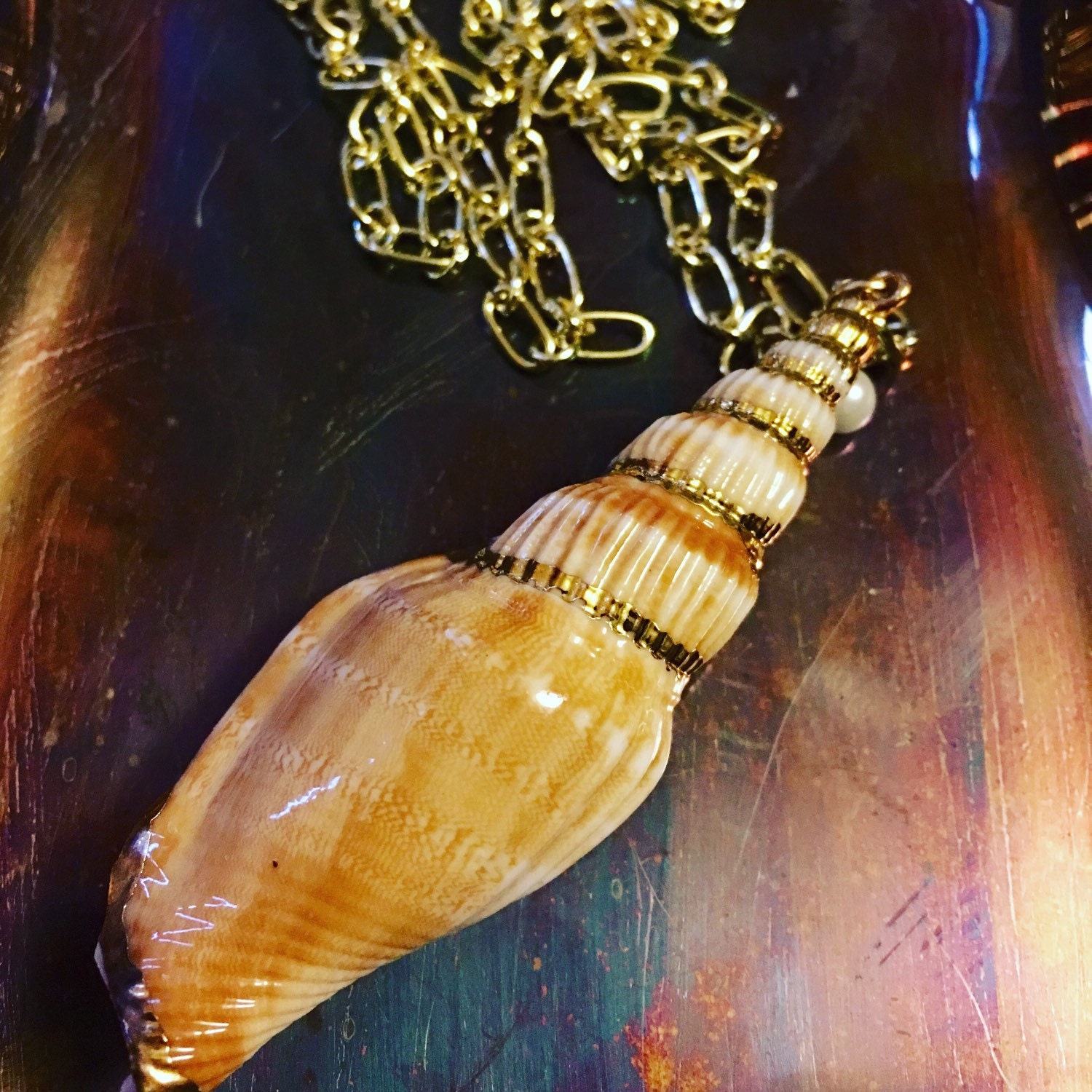 Sea Shell Necklace in Gold