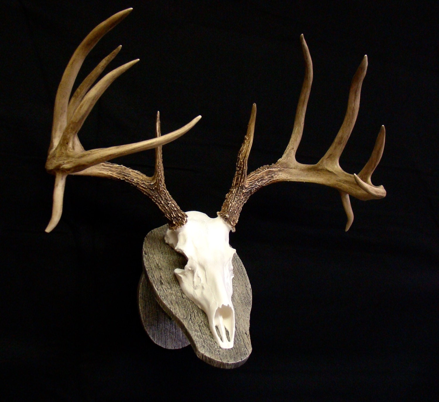 HUGE Replica Whitetail Deer Skull & Antlers Barn By Replicaracks