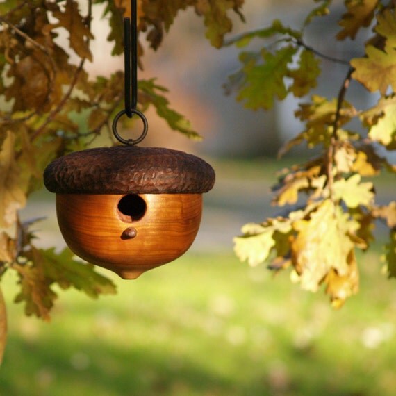 Acorn Birdhouse Outdoor and Garden Birds and Bees