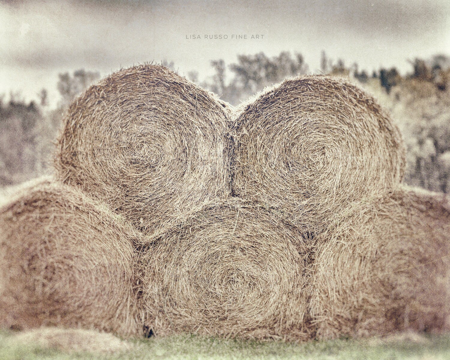 Farmhouse Decor Rustic Country Decor Country Decor Hay Farmhouse Decor Rustic Country Decor Country Decor Hay