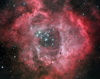 Rosette Nebula (4x6, 8.5x11 or 13x19 print)