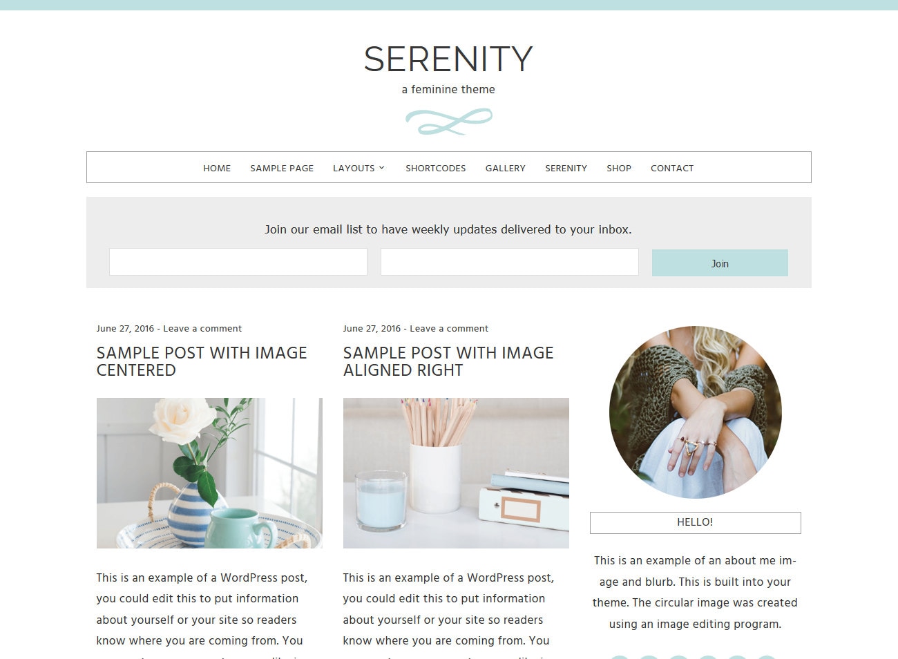 Forex blog wordpress theme