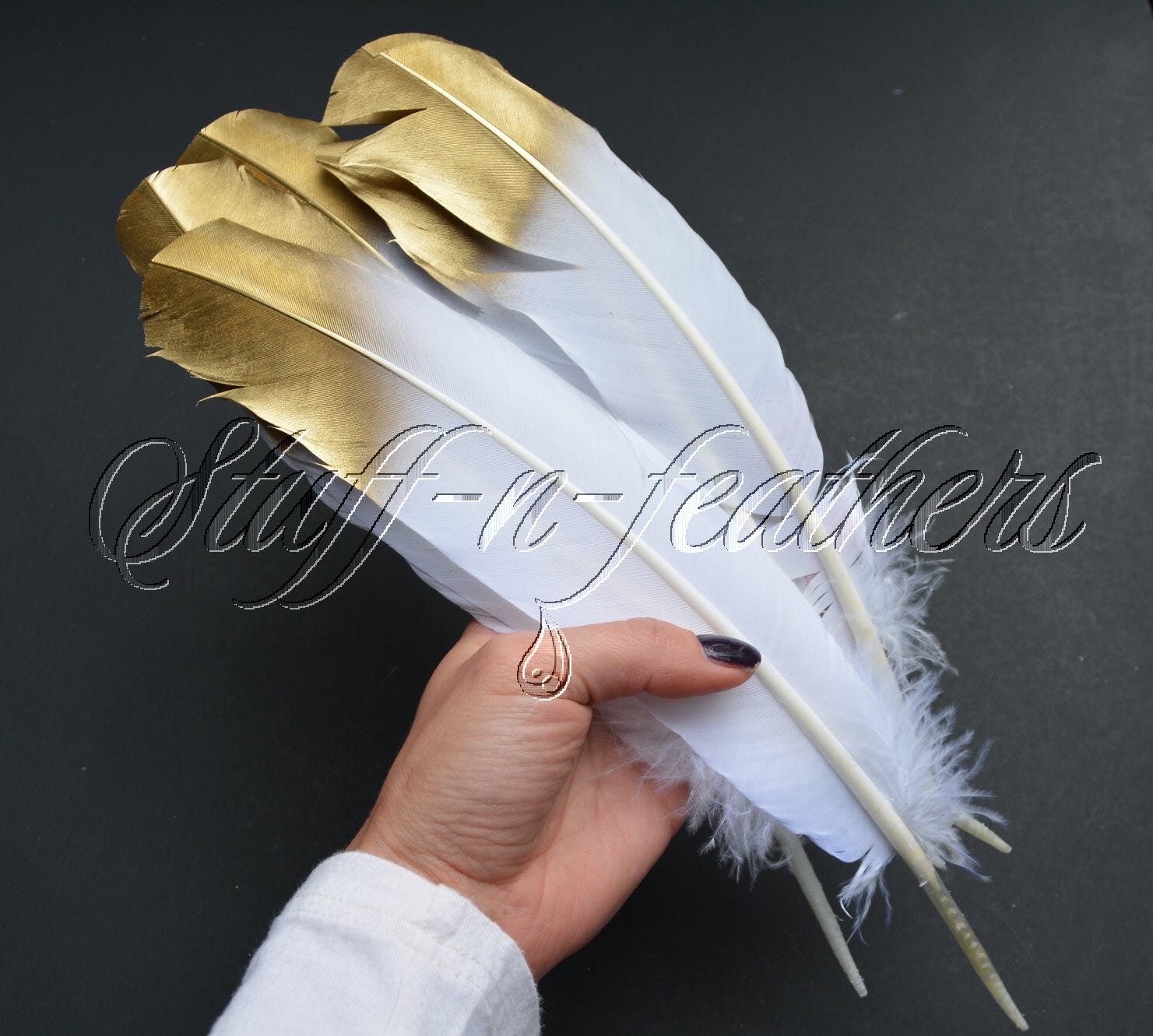 Gold dipped feathers white Gold Tip feathers painted long