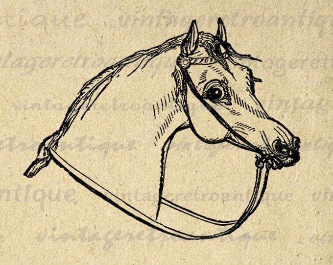 Antique Horse Digital Image Graphic Download Printable Artwork Vintage Clip Art Jpg Png Eps HQ 300dpi No.4071