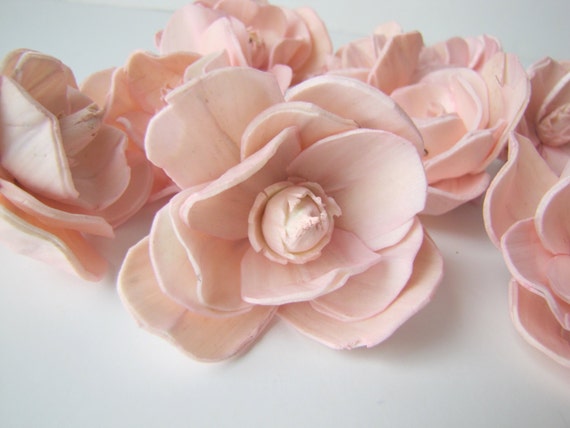 Blush Pink Sola Magnolia Flowers- SET OF 10 , Blush Sola 