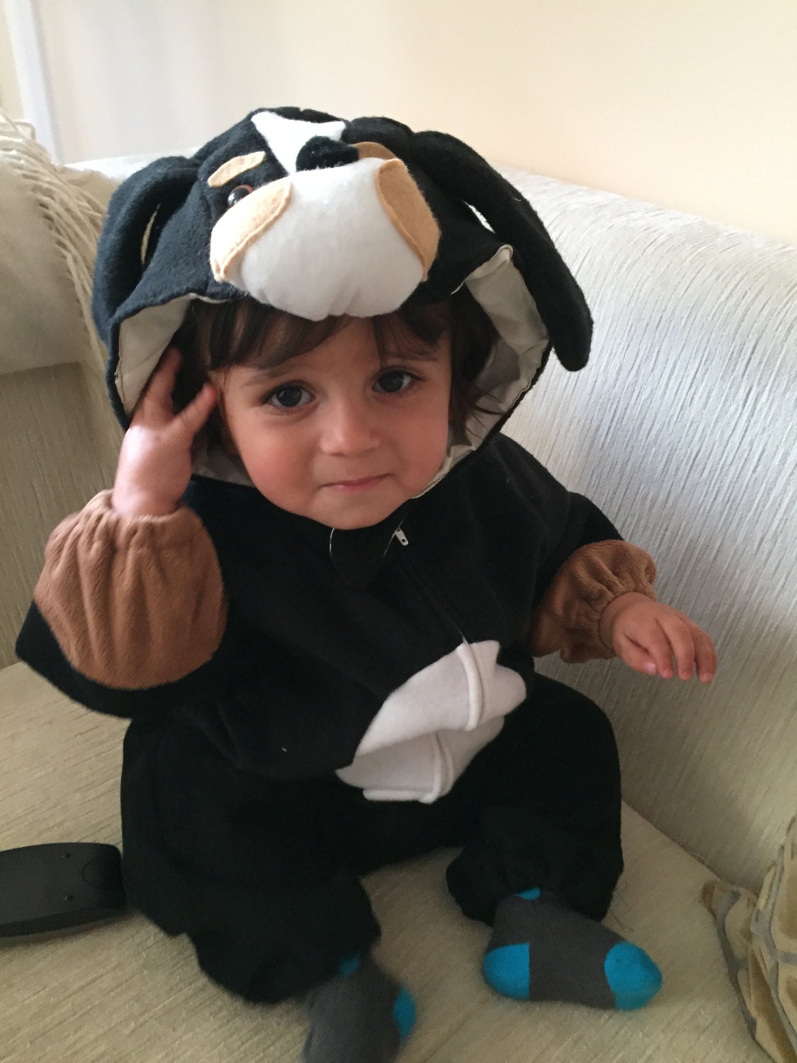 Bernese Mountain Dog BMD Baby Toddler and Kids Halloween