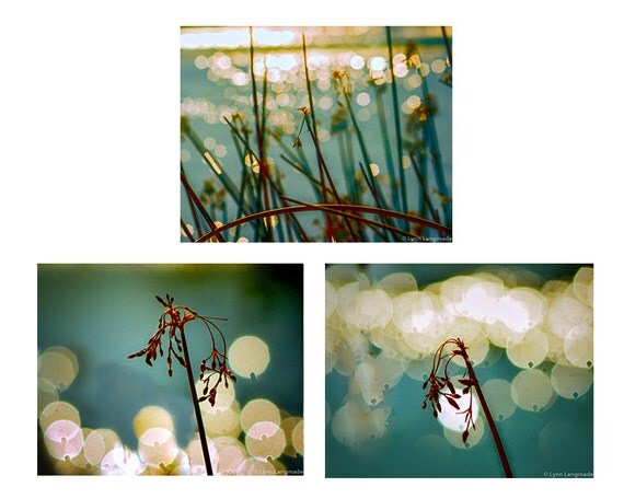 Botanical Bathroom Print Set Set of 3 botanical prints bokeh