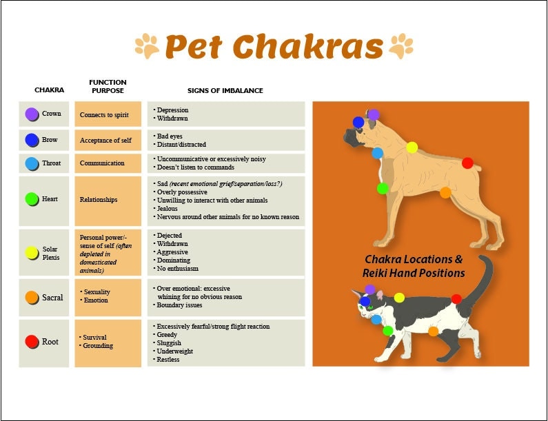 Dog & Cat 7 Chakras Printable Charts Pet Reiki Hand Positions