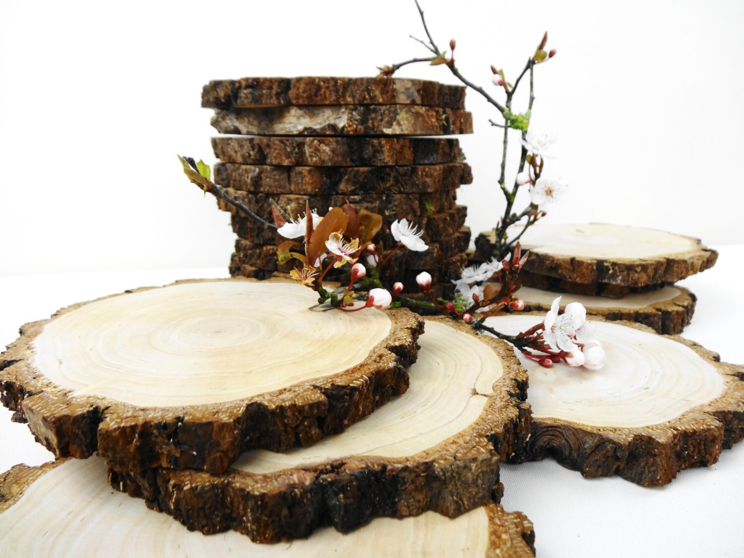 55.5 Wood Slices Bark Wood Tree Slices