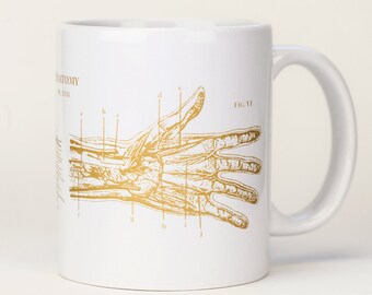 Human Anatomy Mug | Hand Coffee Mug, Physical Therapy, Nurse, Nursing, Anatomical Diagram, Medical Illustration, Physiology, Science Biology