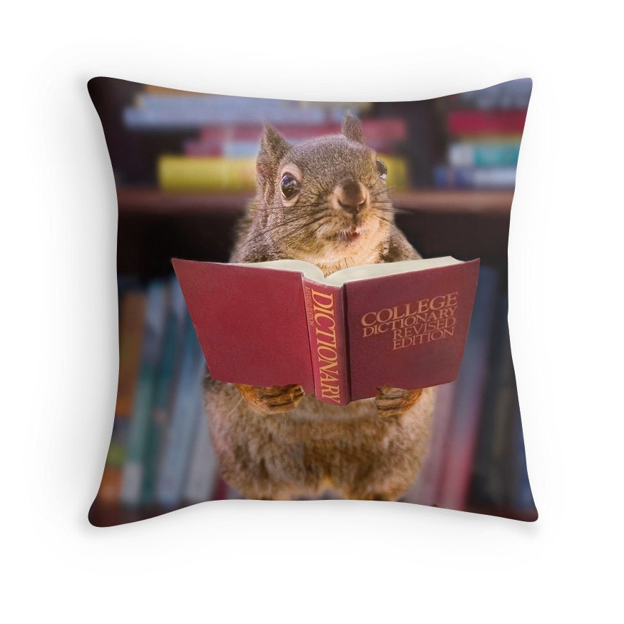 Student Gift Squirrel Gifts Squirrel Pillow Squirrel Decor