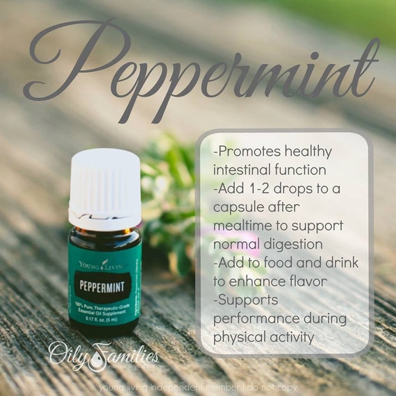 Young Living Peppermint Essential Oil by RusticDogwood on Etsy